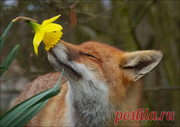Мой Мир@Mail.Ru