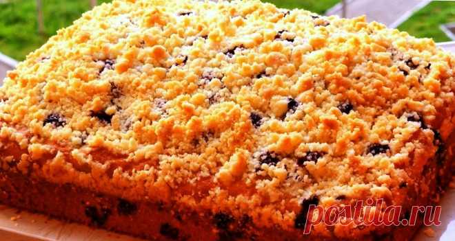 Не пирог, а золото: лучше, чем торт и вкуснее кекса. Научила всех подруг так готовить Пирог получается с такой текстурой теста, как для кексов – влажный, мягкий, очень сдобный. Начинку придумывайте свою, я брала ягоды и посыпала пирог сладкой крошкой. Для приготовления вам потребуются такие ингредиенты: яйца, 4 шт; сахар, 180 г; ванилин; кефир, 250 мл; масло растительное, 150 мл; мука, 400 г; разрыхлитель, 2 ч.л; смородина или иные ягоды; […]