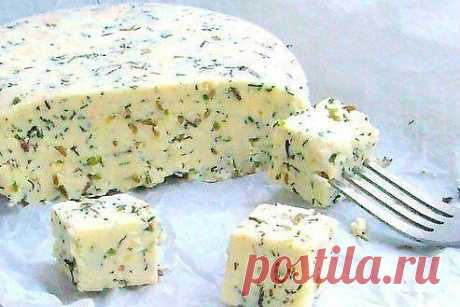 Домашний сыр с зеленью и тмином