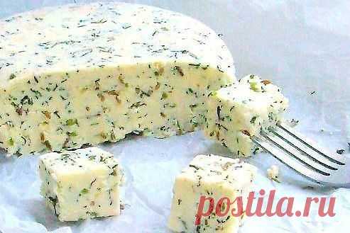 Домашний сыр с зеленью и тмином