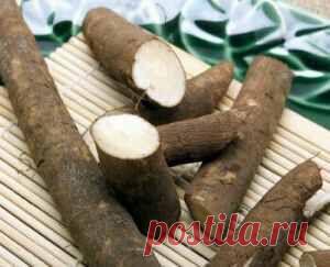 Лечение болезней суставов лопухом: народные рецепты на основе листьев и корня репейника