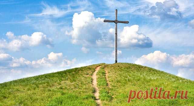 СветПресс: Армен Мкртумян "Доброе благочестие"