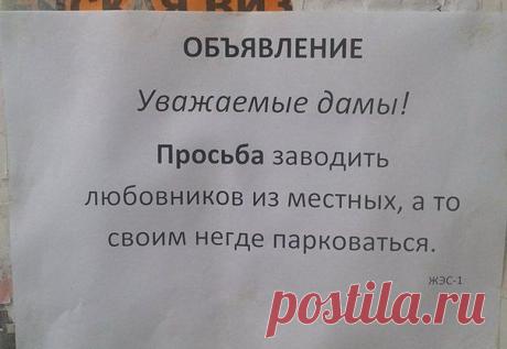 Наталья Зайцева