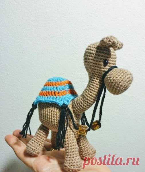 Верблюд. Автор: Carla Medda , Erika Barison