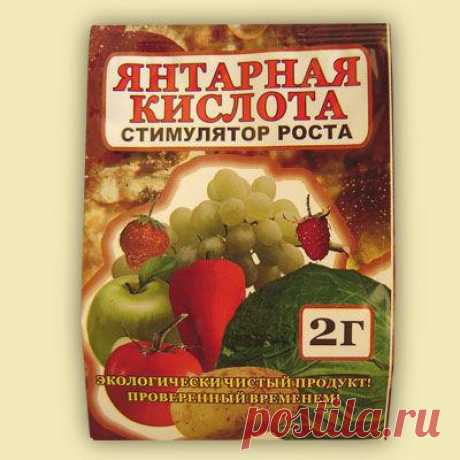 Янтарная кислота для растений: применение, свойства :