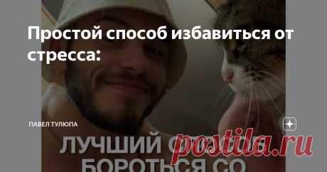 Простой способ избавиться от стресса: Статья автора «Павел Тулюпа» в Дзене ✍: Как бороться со стрессом? Расскажу самый эффективный на сегодняшний день с точки зрения исследований метод.