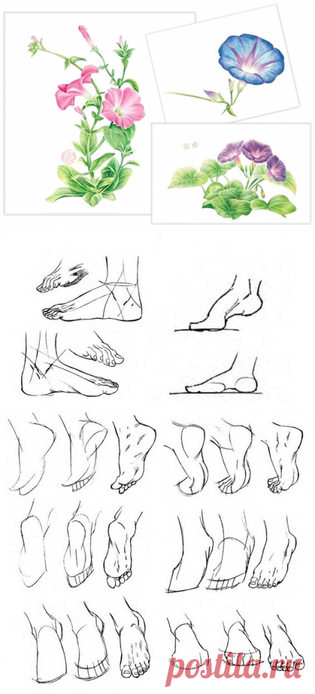 _Уроки Рисования | Записи в рубрике _Уроки Рисования | Intra Bonus, Exi Melio. Войди хорошим, выйди лучшим