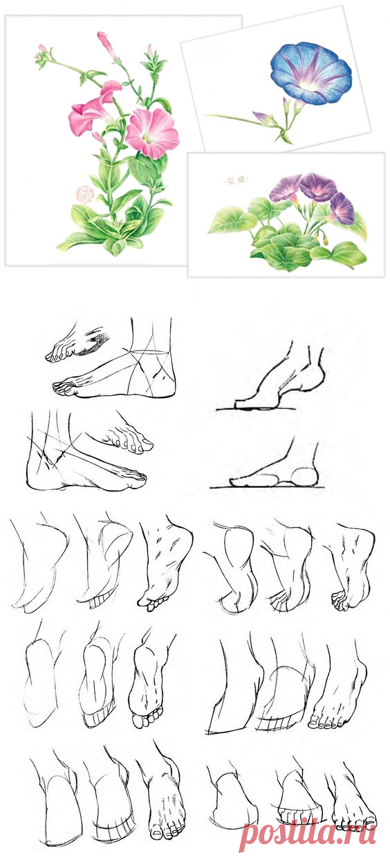 _Уроки Рисования | Записи в рубрике _Уроки Рисования | Intra Bonus, Exi Melio. Войди хорошим, выйди лучшим