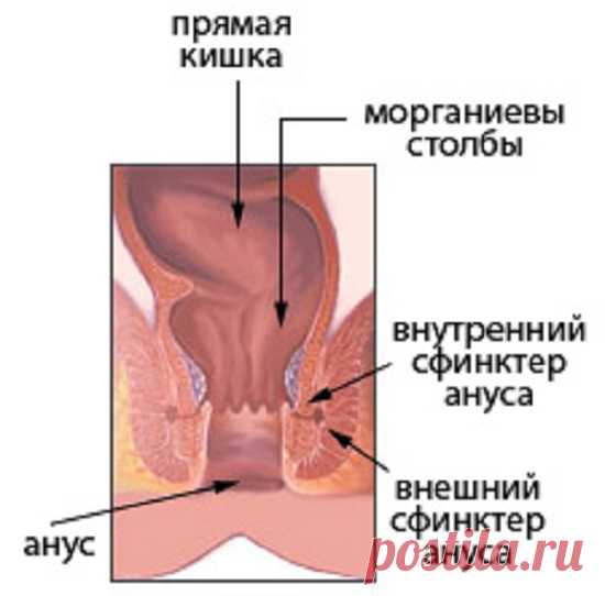 Недержание кала: виды, симптомы, причины и лечение
