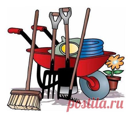 На участке в мае » Журнал "Культура загородной жизни"