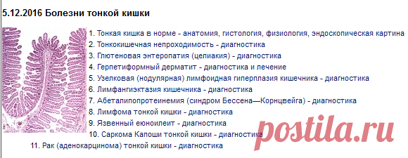 МедУнивер - Медицинский информационный портал для интересующихся медициной