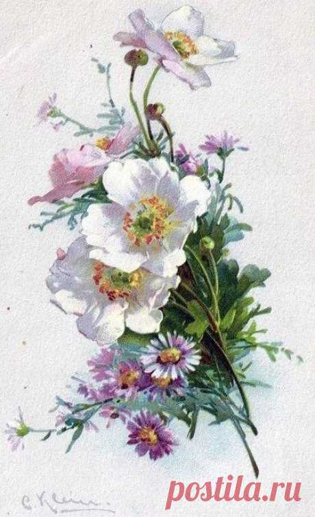 (723) Catherine Klein postcards | Vintage flowers and plants