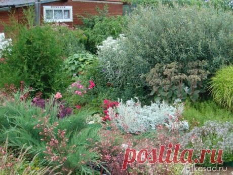 СЕРЕБРИСТЫЕ ЦВЕТЫ ДЛЯ ЛУННОГО САДА | Самоцветик