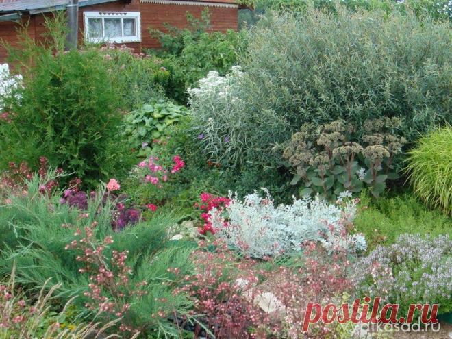 СЕРЕБРИСТЫЕ ЦВЕТЫ ДЛЯ ЛУННОГО САДА | Самоцветик