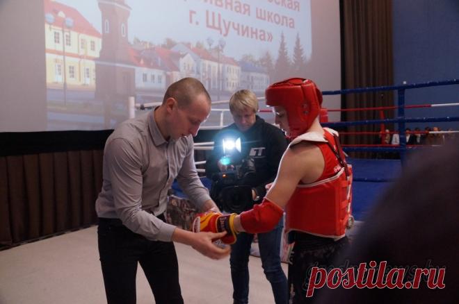 Владимир Шурупов Щучин – Google Поиск