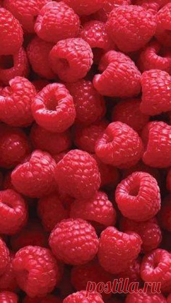 Wallpaper iPhone ⚪️