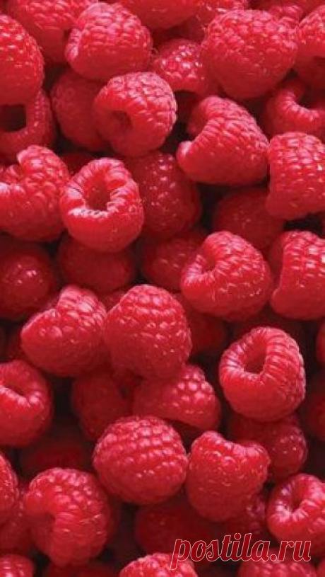 Wallpaper iPhone ⚪️