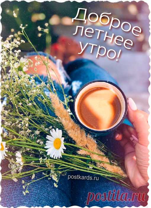 Доброе летнее утро! Доброе летнее утро! в категории с добрым утром - красивая открытка которую вы можете скачать с нашего сайта бесплатно  или установить на форум или блог