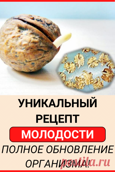 Уникальный рецепт молодости: полное обновление организма!
#здоровье #питание #пп #орех #пророщенный #рецепт #советы #полезные_советы #жизненные_советы
