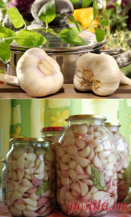 Маринованный чеснок по-грузински !!!