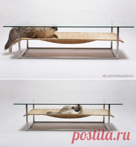 Фотографии на стене сообщества | 32 790 фотографий | ВКонтакте