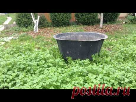 232. Очень удобная система полива