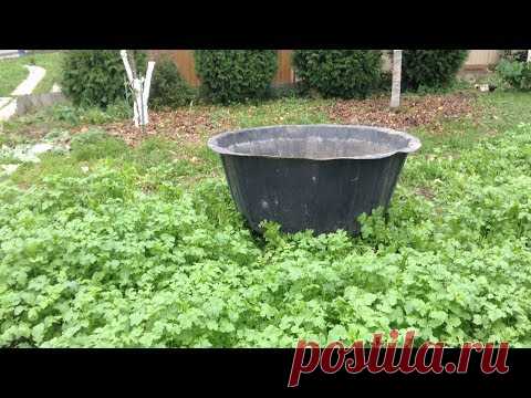 232. Очень удобная система полива