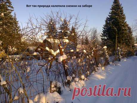 снежная лепнина...