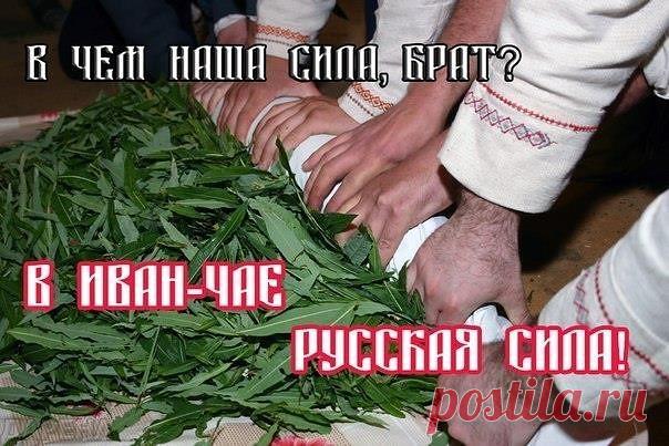 О ПОЛЬЗЕ РУССКОГО ЧАЯ.

Чай является, пожалуй, самым любимым напитком в нашей стране. Его мы пьем и дома и на работе, в будни и в праздники. Чашка с ароматным чаем стала неотъемлемой частью нашей жизни. Однако, вместе с этим заморским напитком, наш организм получает ударную дозу кофеина. Ещё академик И.П. Павлов установил, что кофеин усиливает процессы возбуждения в коре головного мозга и повышает двигательную активность. Алкалоиды чая усиливают сердечную деятельность, сок...