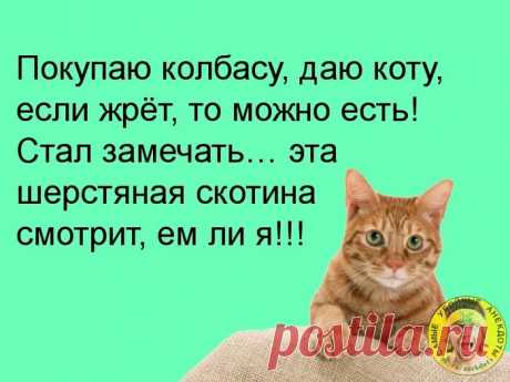 Юмор&gt;Улыбнитесь