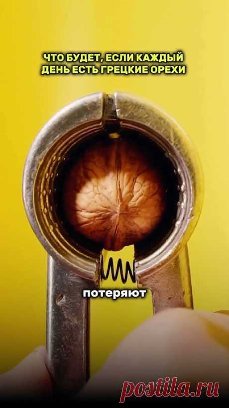 Что будет, если каждый день есть грецкие орехи
