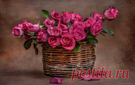 цветочные композиции «фото_обои»