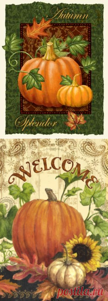 (8) Pinterest