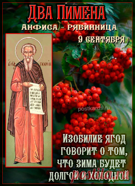 На Пименов крестьяне выходили кланяться рябине и собирали ягоды.