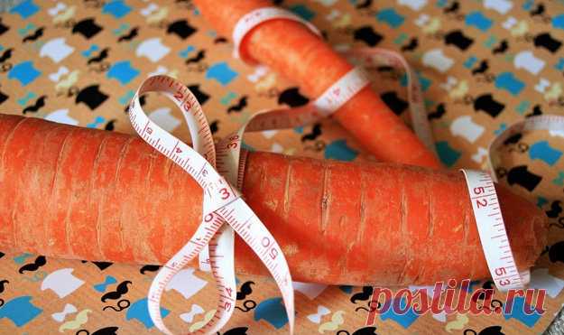 Как начать худеть 

Очень просто!

Начать #худеть — легко, но сложнее довести дело до победного конца!