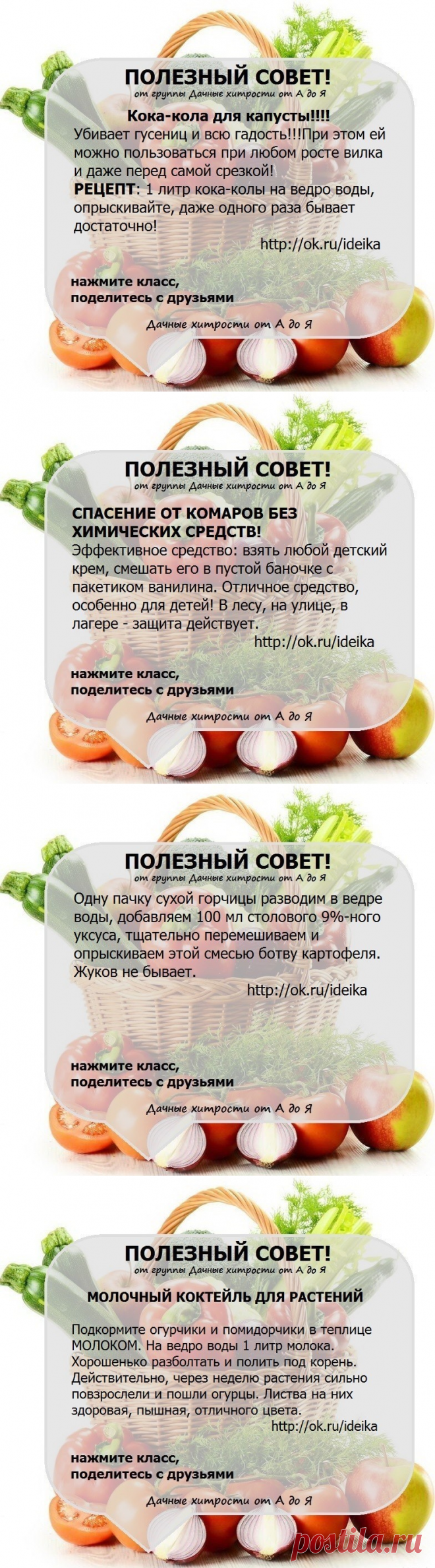 (95) Одноклассники