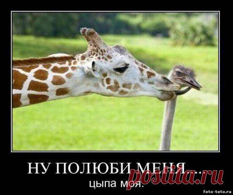 Хи-хи-хи...ржака!
Оксана Логинова