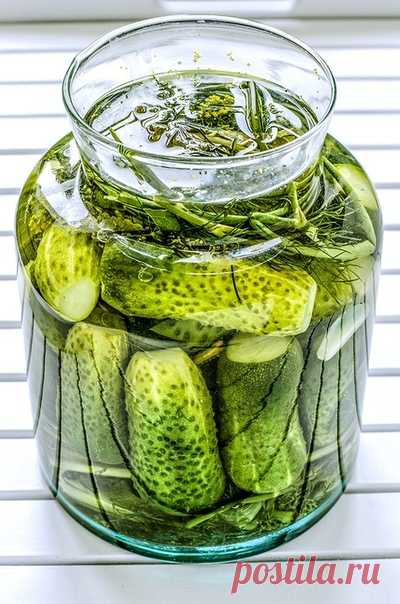 Маринованные огурцы 