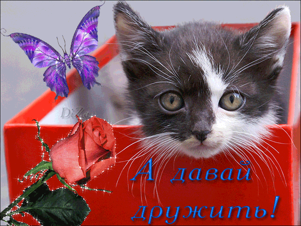 УЛУЧШИТЬ МЕНЯ НЕВОЗМОЖНО Я ПРОСТО ВЕЛИКОЛЕПНА БЛЕСТЯШКИ: 8 тыс изображений найдено в Яндекс.Картинках