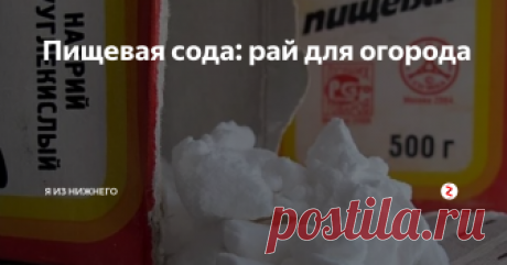 Пищевая сода: рай для огорода Продолжаю цикл  статей про то, чем можно подкармливать, удобрять и лечить растения, не применяя особых усилий и затрат. Сегодня хочу рассказать о двууглекислом натрии, а в народе - обычной пищевой соде.
