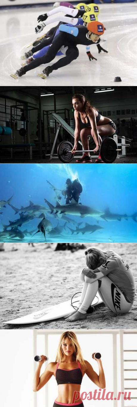 Гиревой спорт, Подводный хоккей, Легкая атлетика, Синхронное плавание. (1/1) - Спортивный форум. - Спортивный сайт