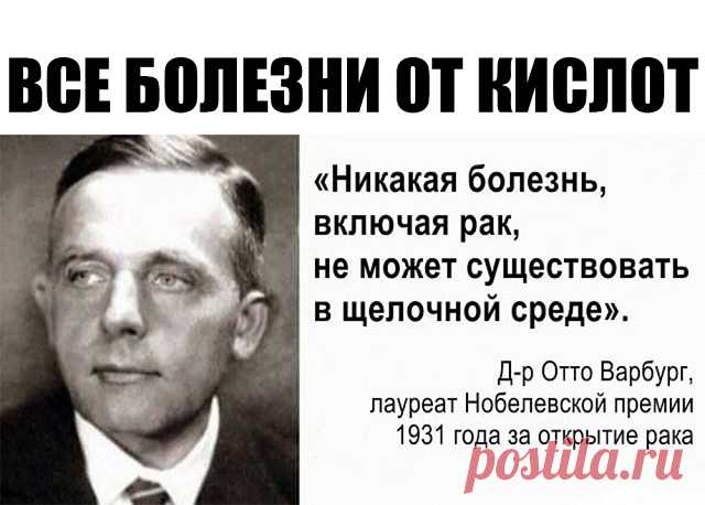 (81) Одноклассники