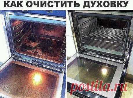 * * * * * * * * * * * *