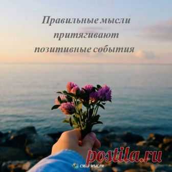 (6) Facebook