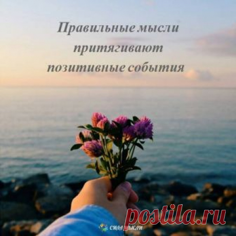 (6) Facebook