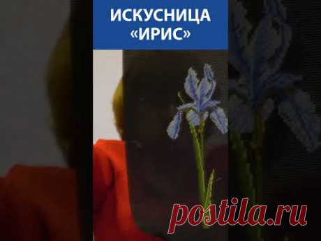 &quot;На черном смотрится выйграшно&quot;! Вышивка крестиком. Искусница «Ирис»