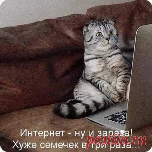 (2) Facebook