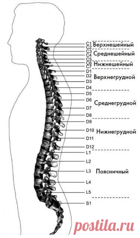 Лечебные движения для снятия головной боли 
Гимнастика для сосудов
Лечебные позы - движения уменьшают головную боль в области лба, увеличивают отток жидкости из полости черепа.
Прежде чем выполнять упражнения, посмотрите рисунок, на котором ук…