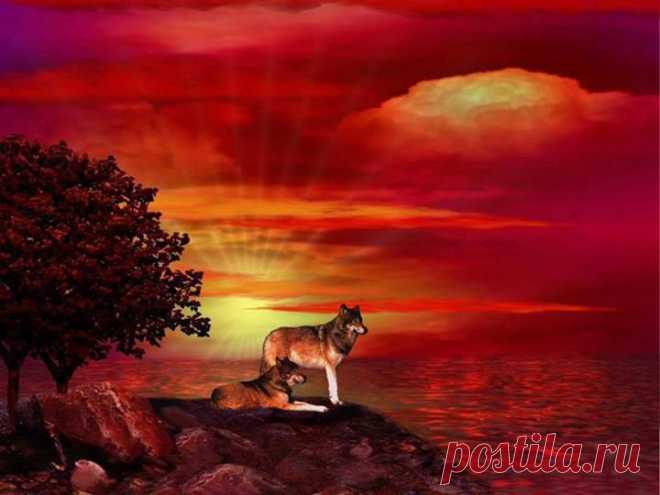 ✿* ☆:**:. 5 .:**:.☆*✿ - The Storybook Of Dreams | Facebook