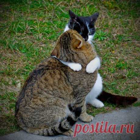 люблю тебя вот так!!!!